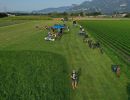 DJI 0220